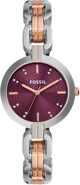 https://accessoiresmodes.com//storage/photos/1069/MONTRE FOSSIL/FOSSIL3-removebg-preview.png